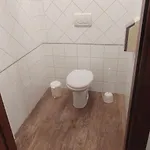 Tuscanflat Castle Apartment Scrofiano